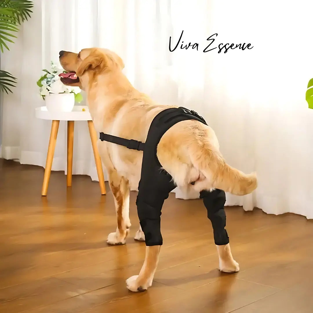 Suporte articular para animais de estimação aprovado por veterinários, com várias correias ajustáveis para um ajuste personalizado - vivaessencepet