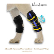 A black ProCare Canine Hock Brace made of neoprene, providing essential joint support for a dog's leg - vivaessencepet
