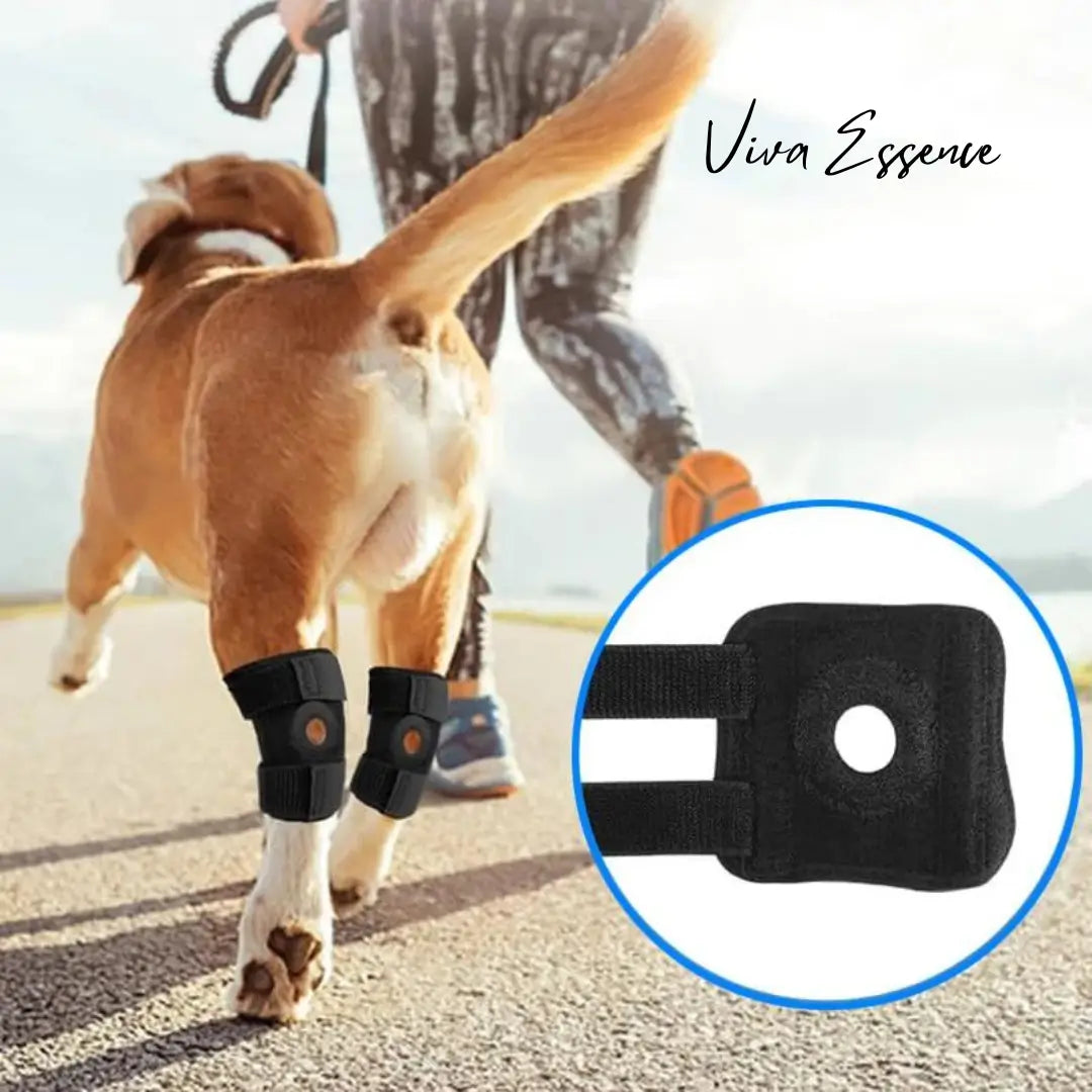 Dog Hock Brace Joint Support - Joint Care - Viva Essence