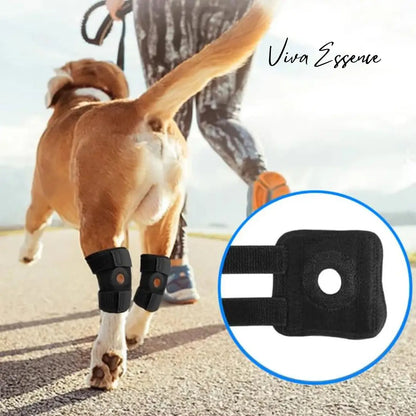 Adjustable Neoprene Dog Hock Brace - Joint Support Wrap - Viva Essence