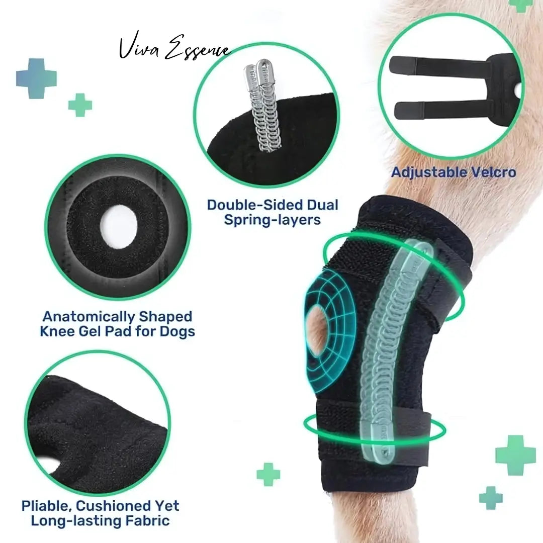 Adjustable Neoprene Dog Hock Brace - Joint Support Wrap - Viva Essence