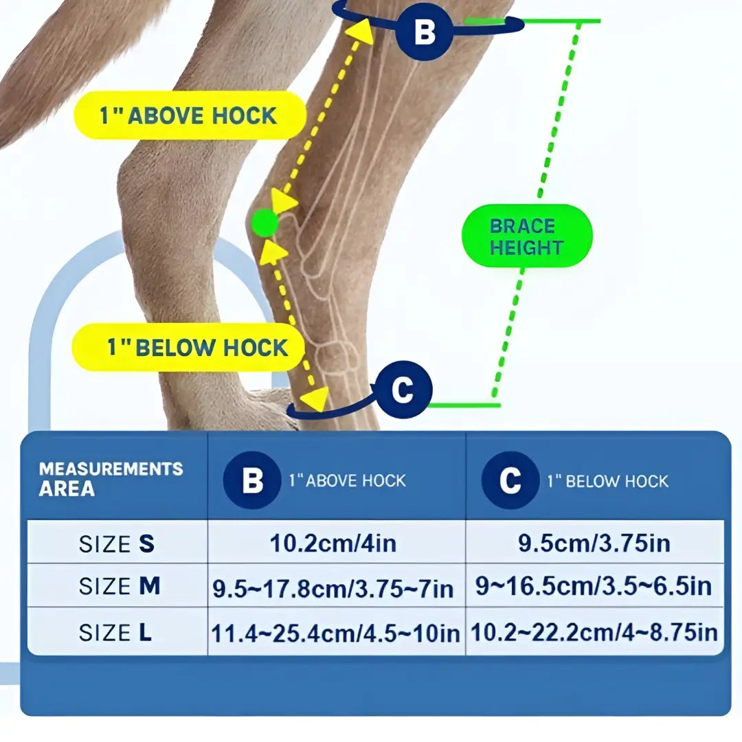 Dog Hock Brace Joint Support - Joint Care - Viva Essence