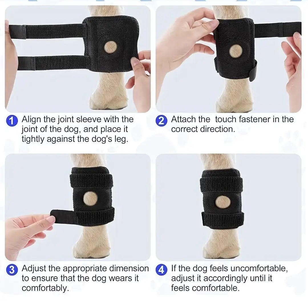 Dog Hock Brace Joint Support - Joint Care - Viva Essence