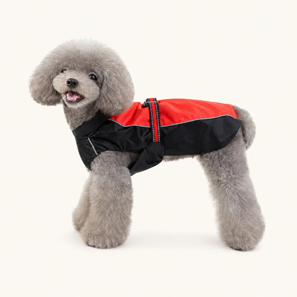 暗い夜の散歩でも高い視認性で安全を守る、反射素材の犬用レインコート - vivaessencepet