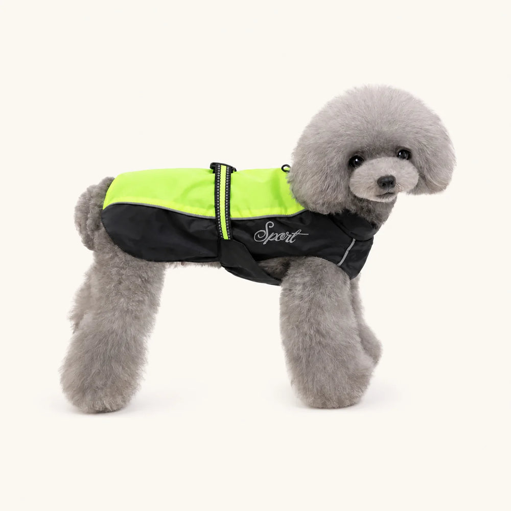 全身をカバーするデザインで、雨の日も愛犬を暖かくドライに保つ防水犬用コート - vivaessencepet
