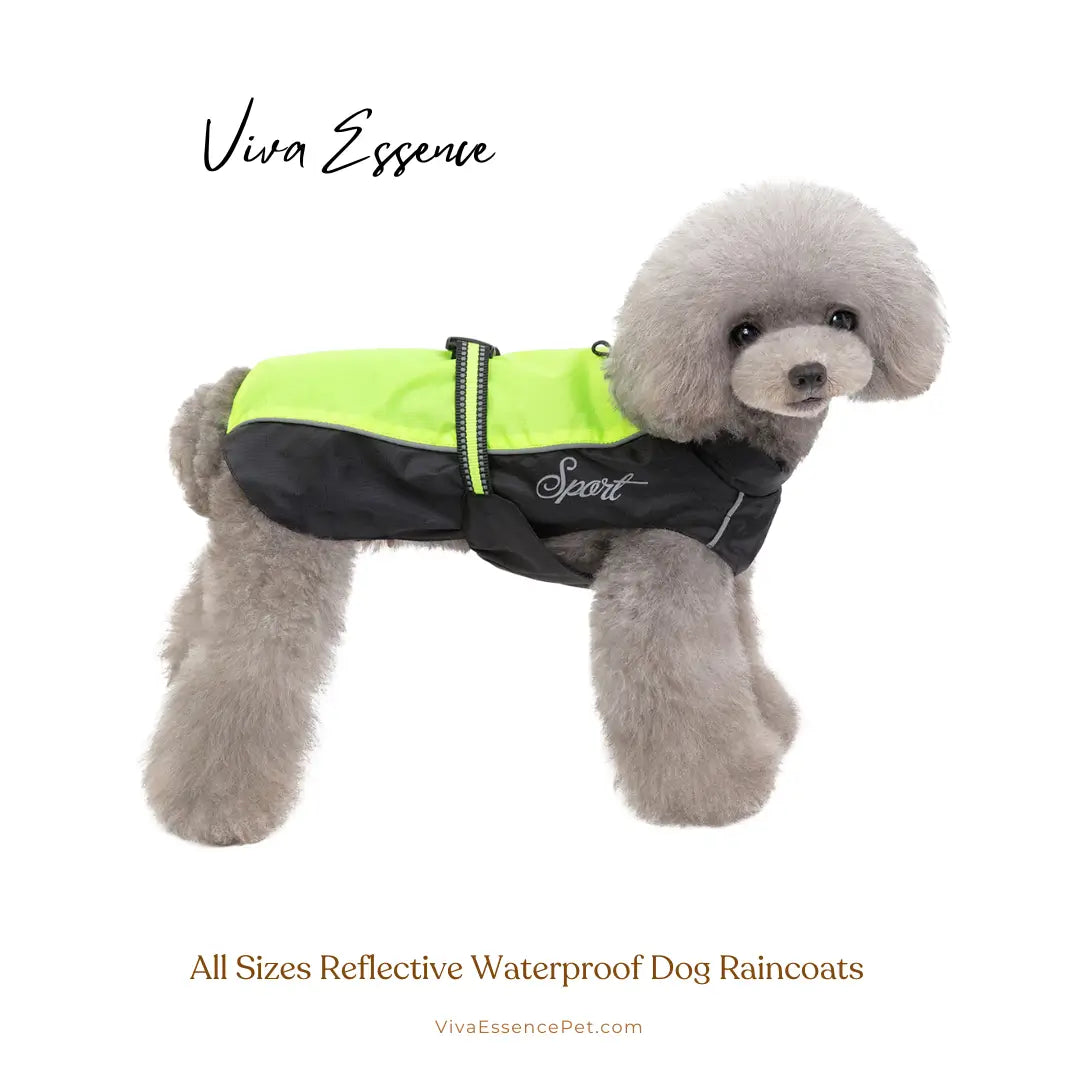 Casaco impermeável para cão com design de cobertura total para manter o seu animal de estimação quente e seco na chuva - vivaessencepet