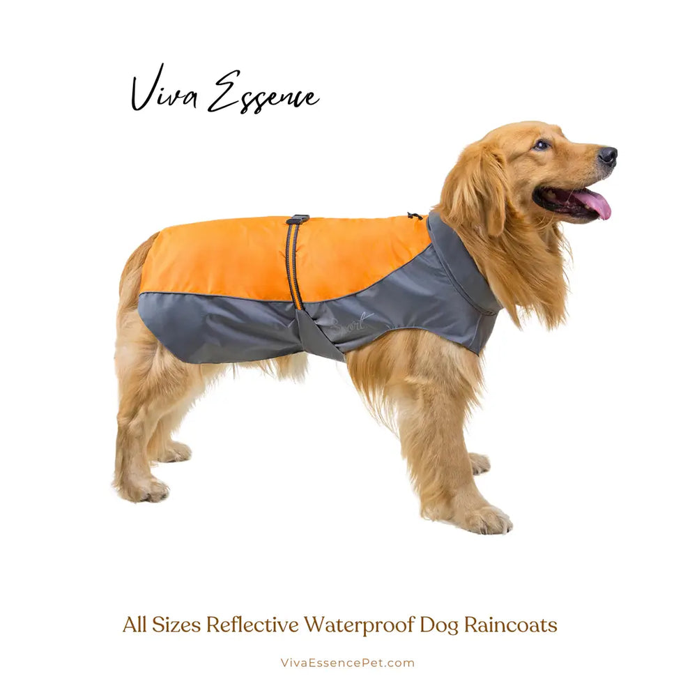 お散歩後の泥汚れの片付けを減らす、全身カバー設計のドッグレインジャケット - vivaessencepet