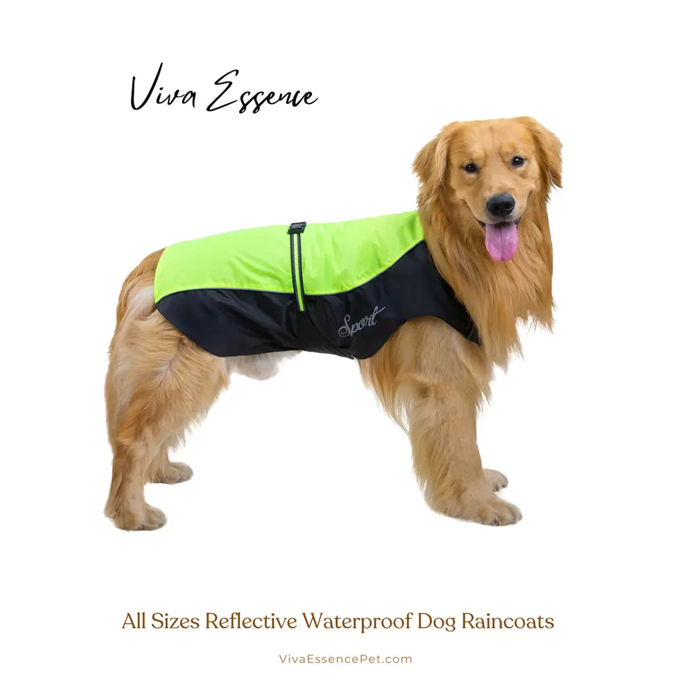 ハーネス用ホール付きの軽量防水ドッグコート。遊び時間も思いきり動けます - vivaessencepet