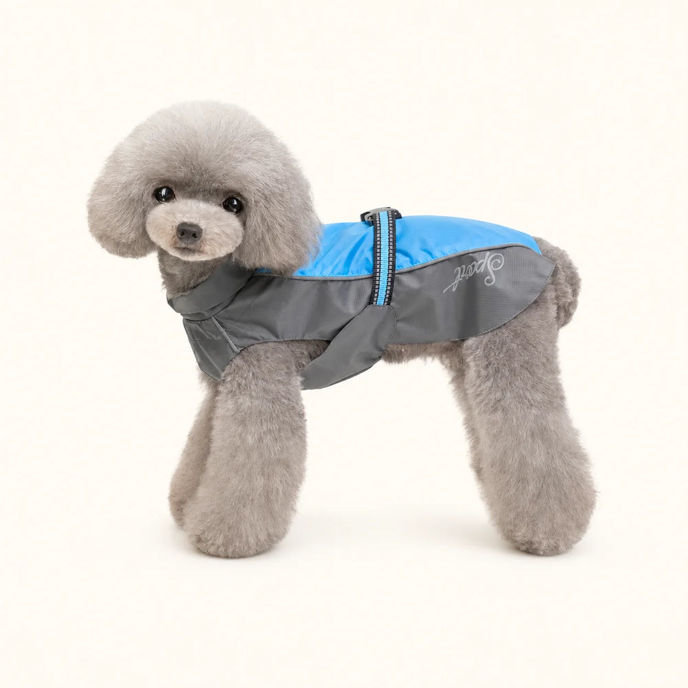 超反射ストリップ付きのペット用安全ギアで、愛犬の存在をすぐに車から確認できます - vivaessencepet