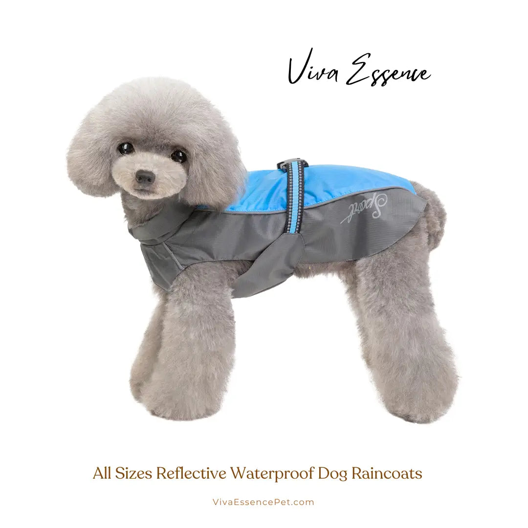 Equipamento de segurança para animais de estimação com faixas ultrarrefletoras, tornando o seu cão imediatamente visível para os condutores - vivaessencepet