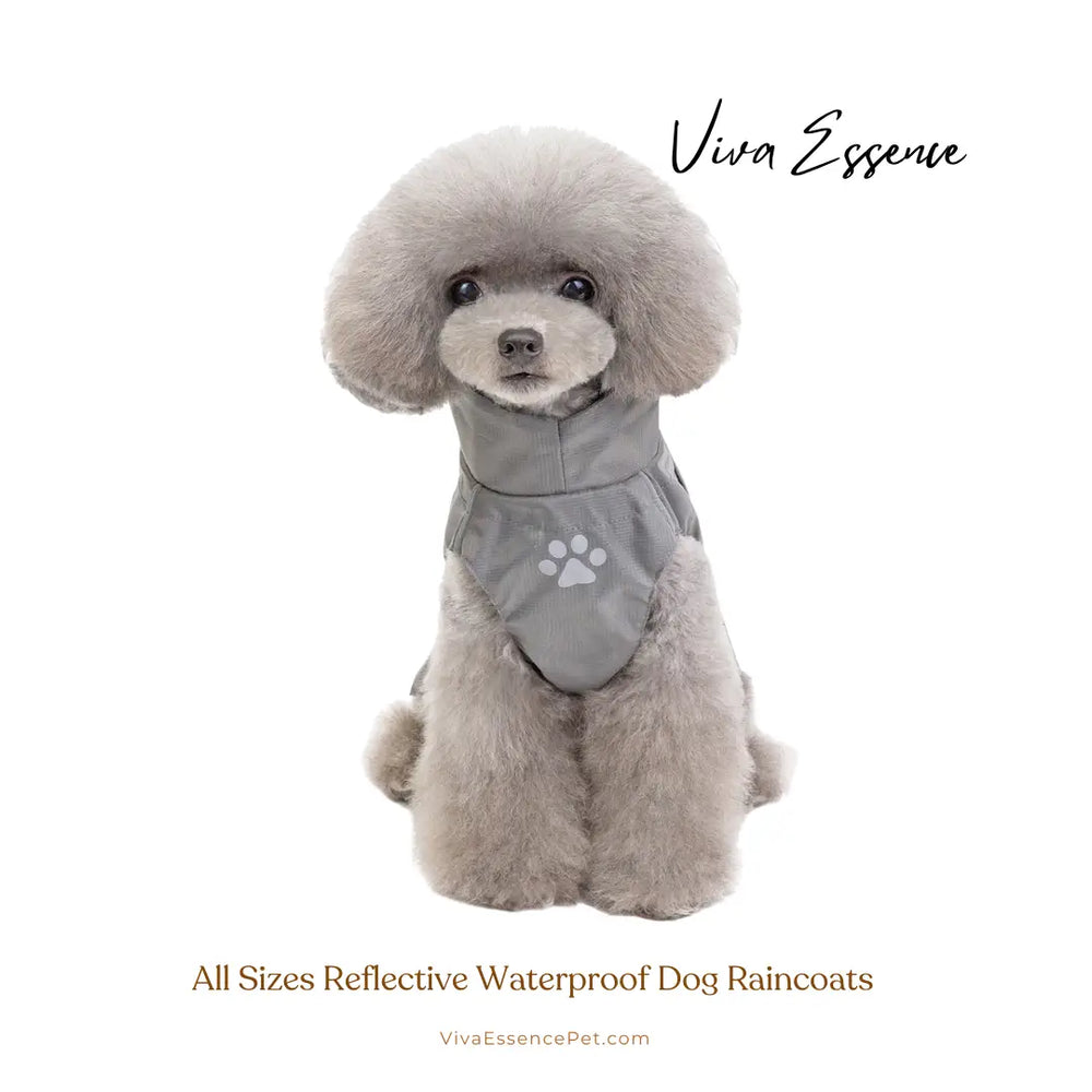 夜の散歩の安全性を考えた、実用派の飼い主にうれしい明るい反射ドッグレインコート - vivaessencepet