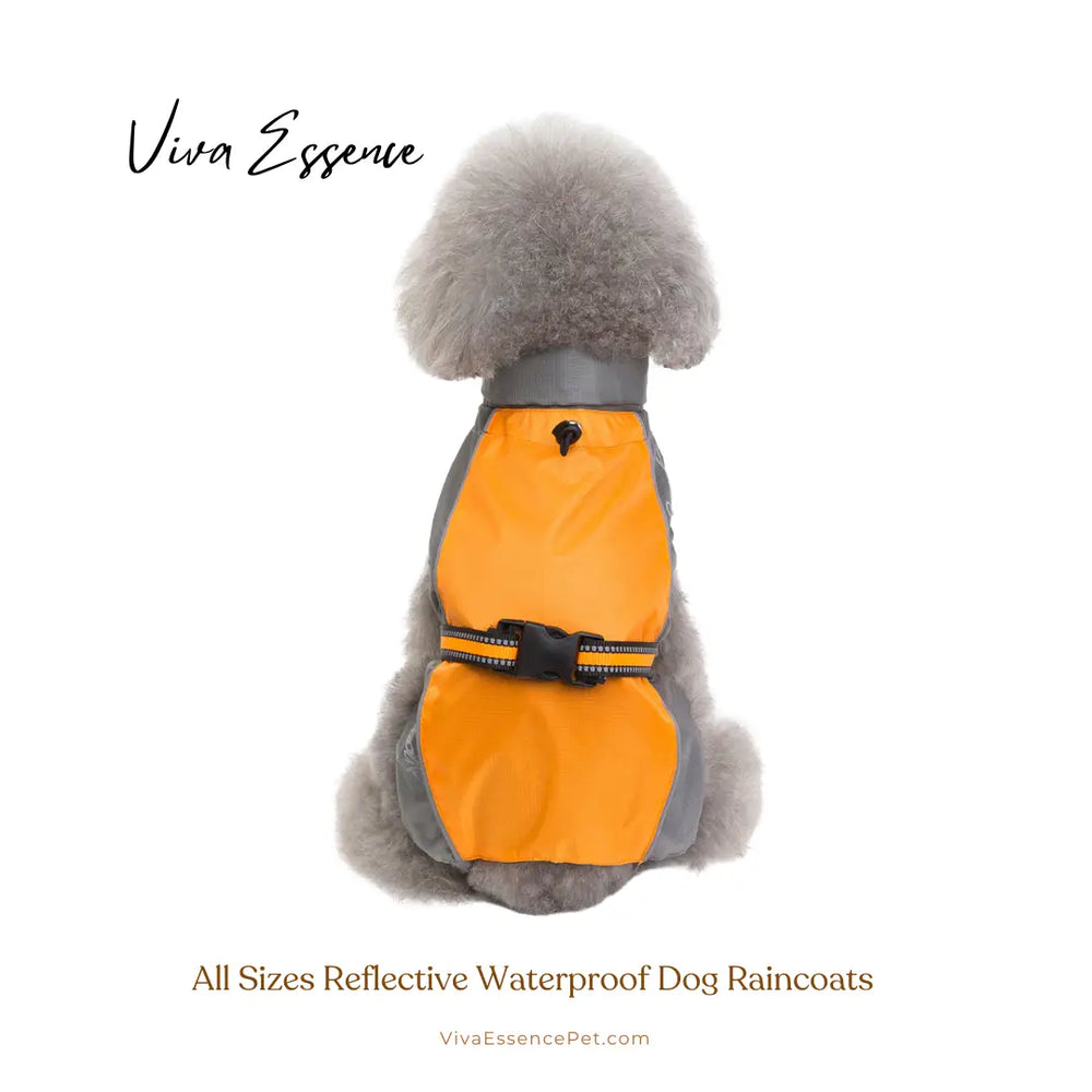 防水ドッグコートを着た大型犬。軽量で動きを妨げないフィット感をアピール - vivaessencepet