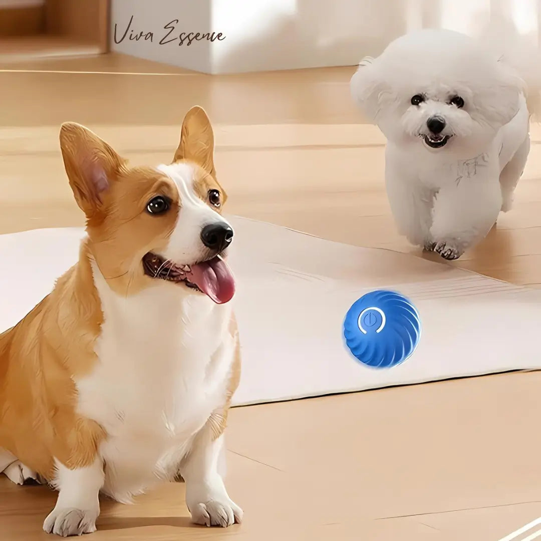 USB charging port on IntelliRoll rechargeable interactive ball - vivaessencepet