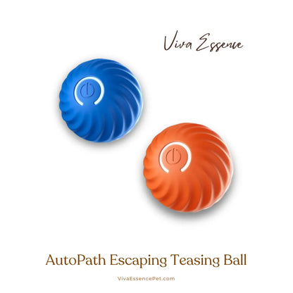 Automated Path Escaping Teasing Ball - Combo + Cover Viva Essence