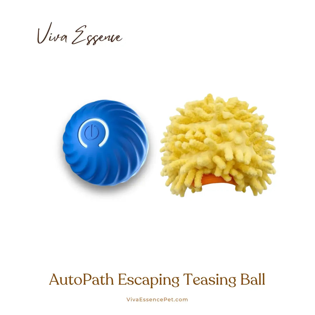 Automated Path Escaping Teasing Ball - Blue Sea Urchin Cover Viva Essence