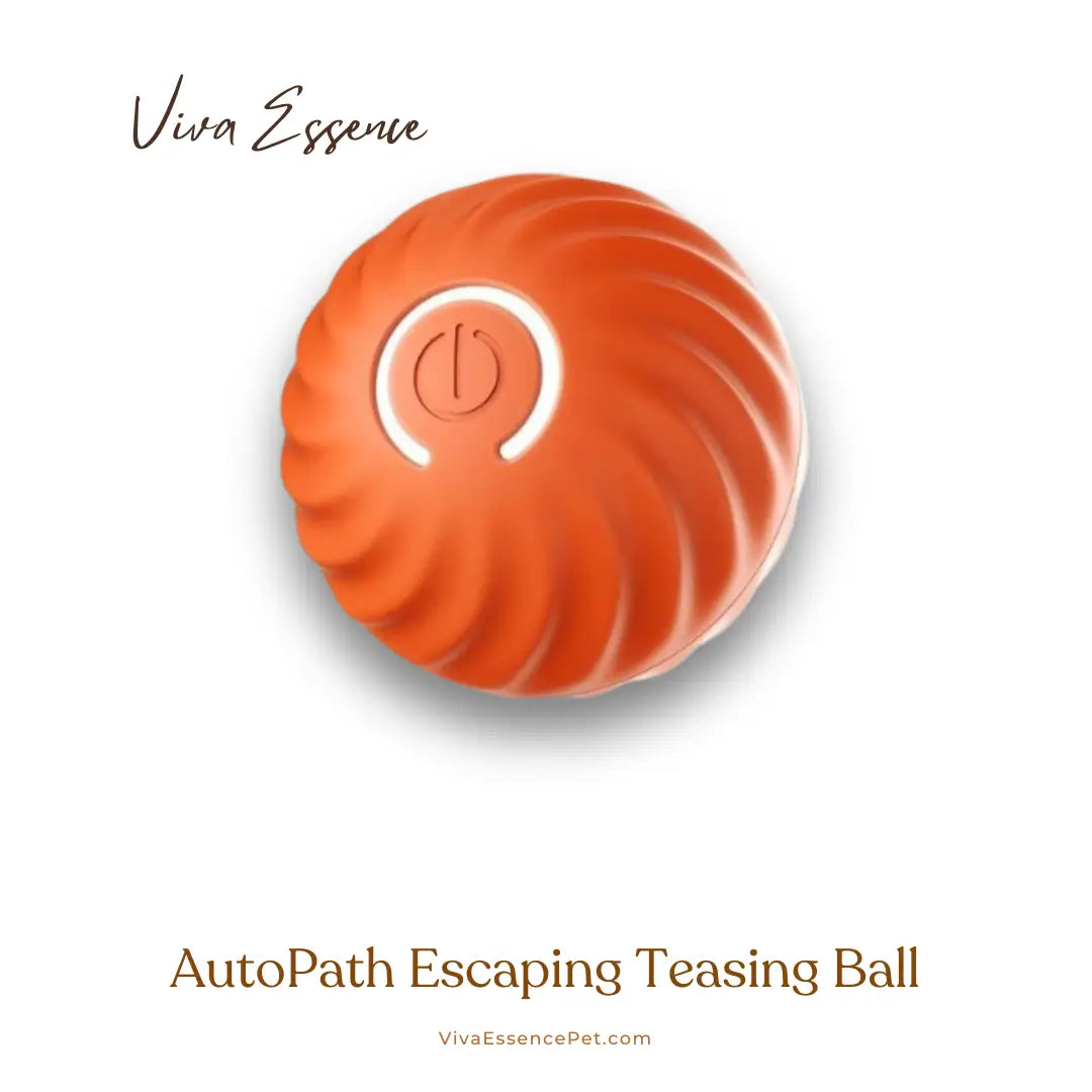 Smart interactive pet ball moving across the floor for chase and batting games - vivaessencepet