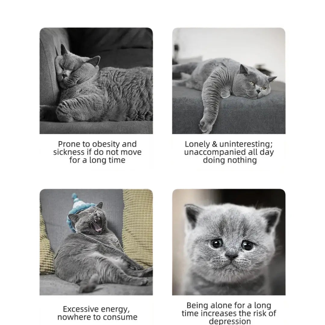 Brinquedo robótico para gatos Whisker Play que projeta padrões de laser rotativos imprevisíveis a 360 graus - vivaessencepet