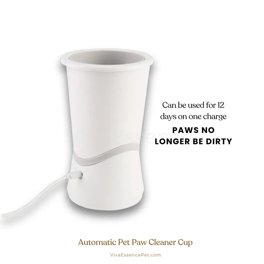 Entryway paw cleaning station for rainy walks and muddy paws - vivaessencepet