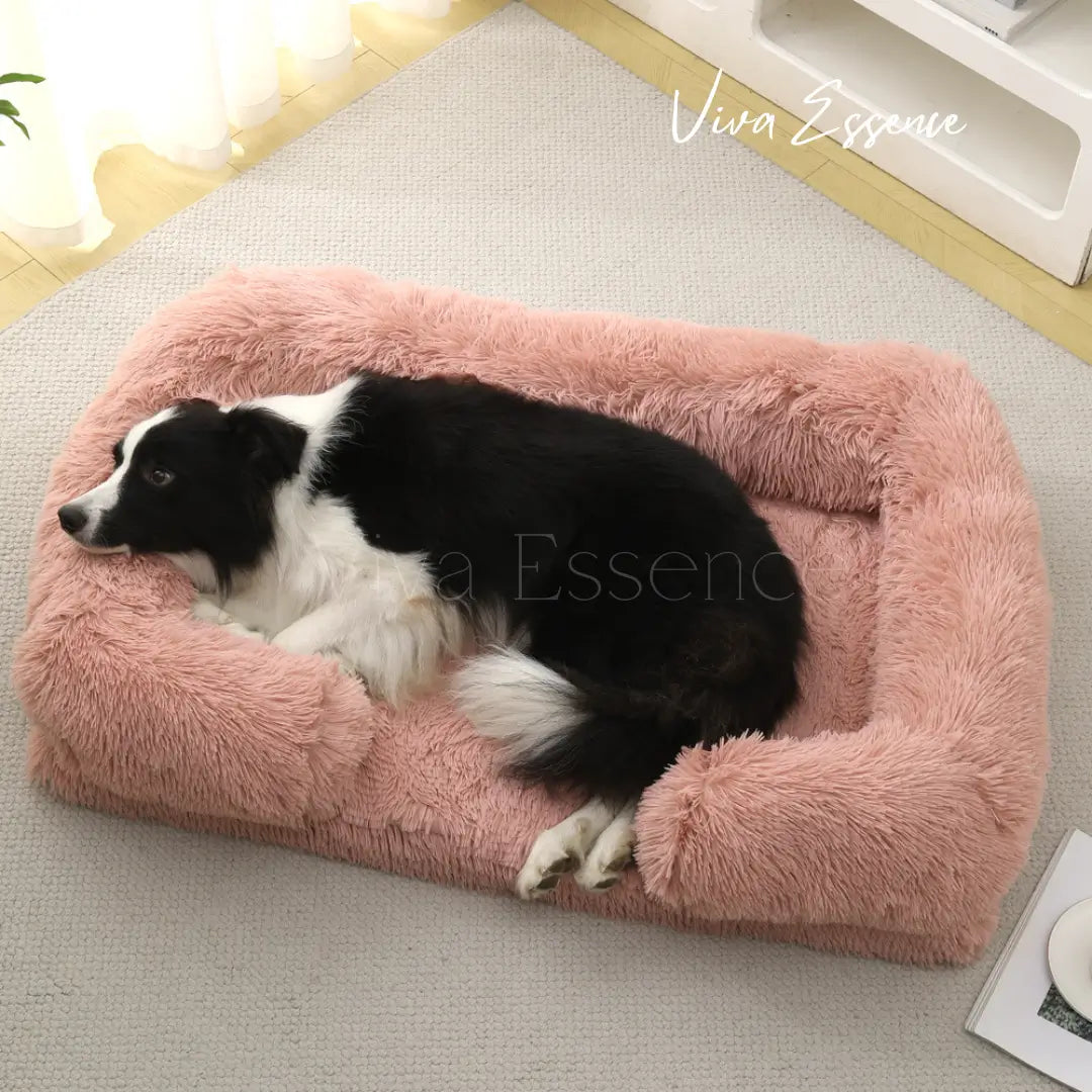 Hund entspannt ausgestreckt auf dem großen orthopädischen Hundebett und genießt tierärztlich empfohlenen Halt - vivaessencepet