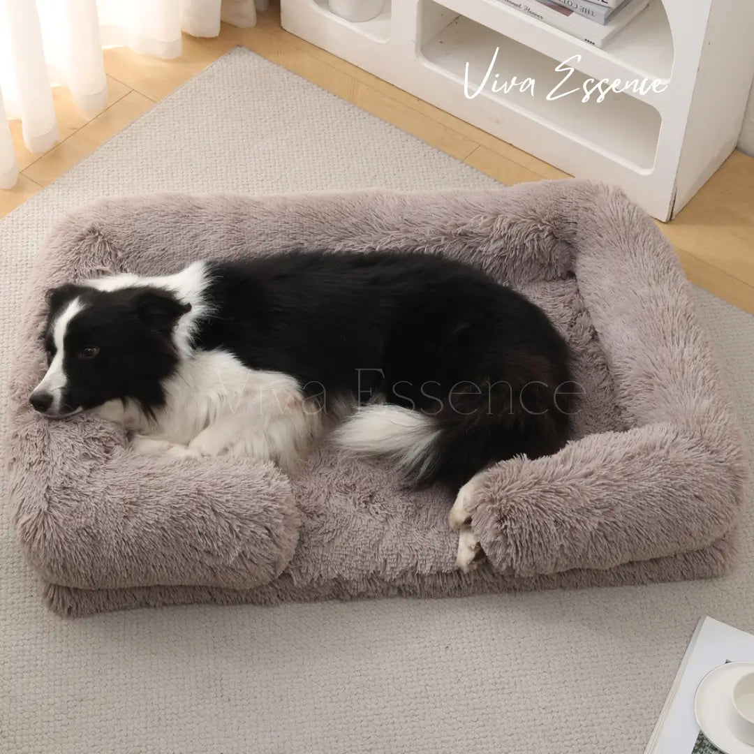 TranquilPup temperaturregulierendes Hundebett, das einen ruhenden Hund an einem warmen Sommernachmittag kühl hält - vivaessencepet
