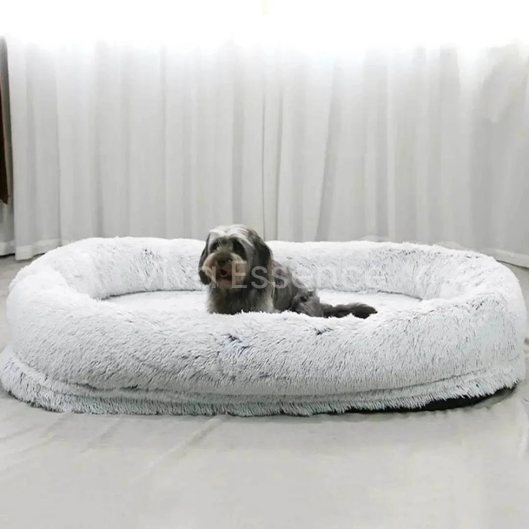 Cama compartida para mascotas con cómodos bordes acolchados que crean un espacio ininterrumpido para acurrucarse - vivaessencepet