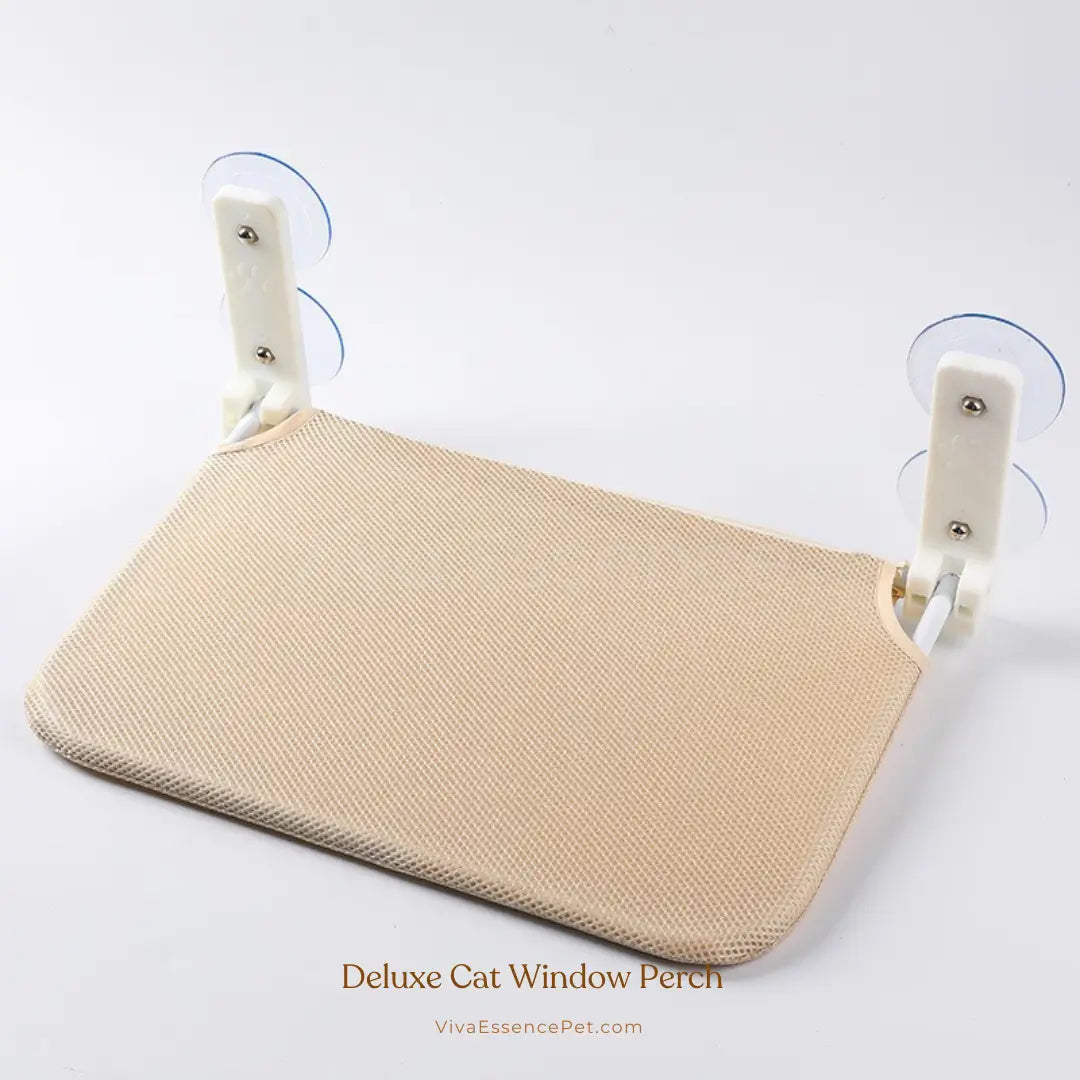 Cat Window Perch Hammock - clean-window suction setup - vivaessencepet