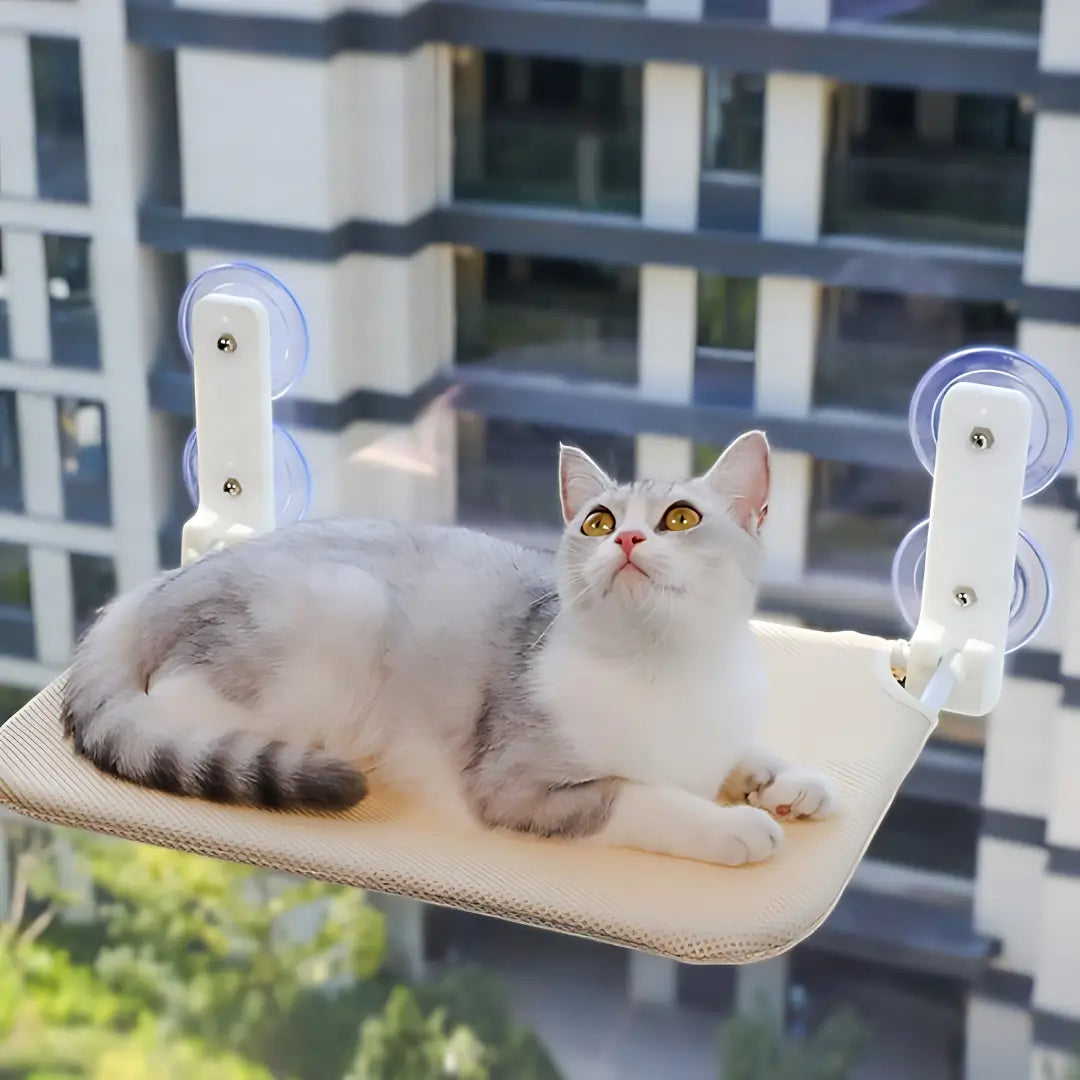 Deluxe Cat Window Perch - Comfy Hammock with Scenic View - Viva Essence