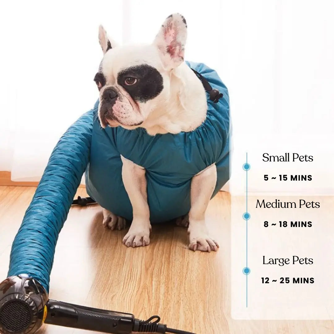Best dog drying bag for anxious dogs, offering a calming and stress-free grooming experience at home - vivaessencepet