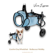 A happy Corgi runs on grass using the adjustable JoyStride dog wheelchair, a pet mobility aid for dogs - vivaessencepet