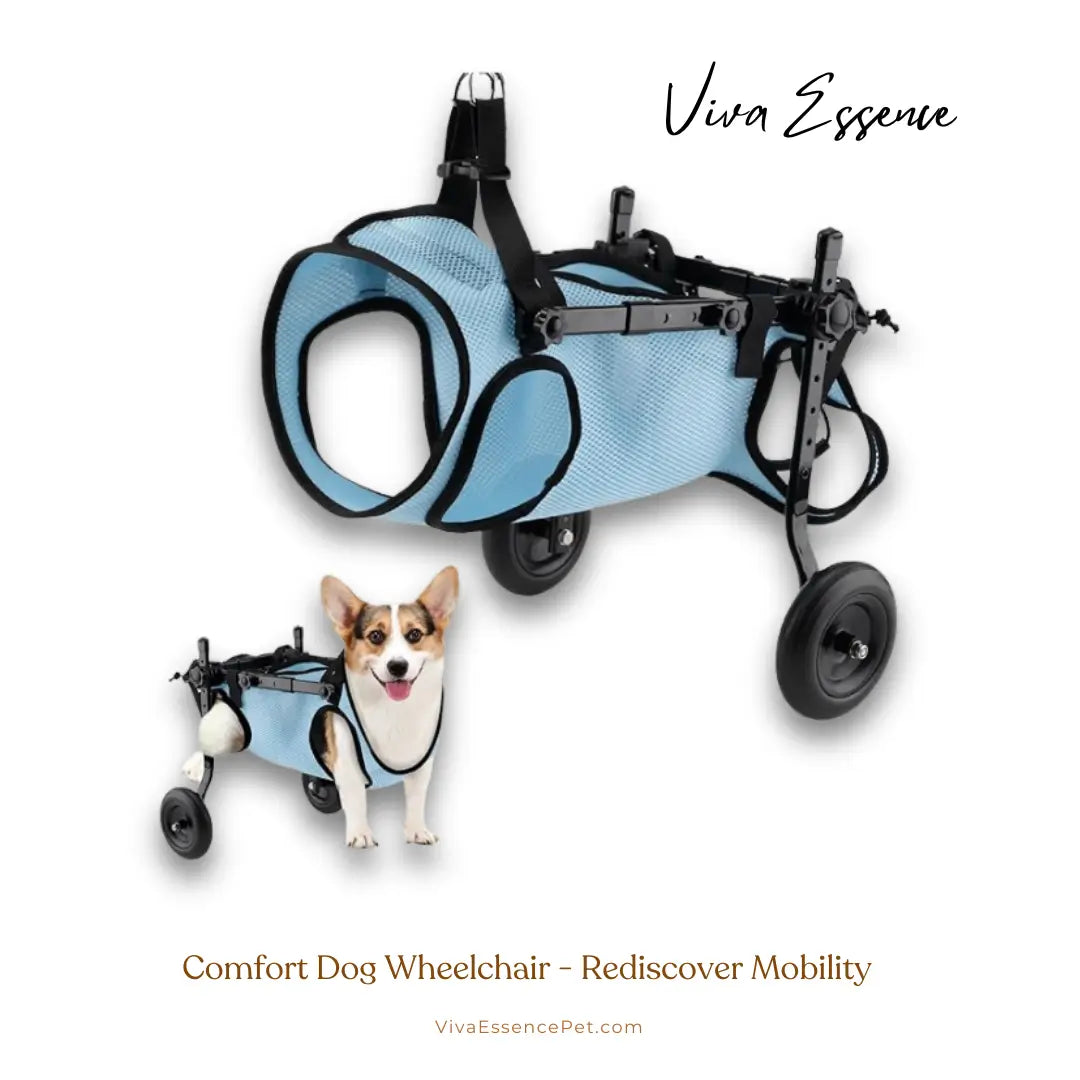 FlexiStride Dog Wheelchair – Mobility for Small to Medium Pets - M suitable for 11-22 lbs (5-10 kg) Viva Essence