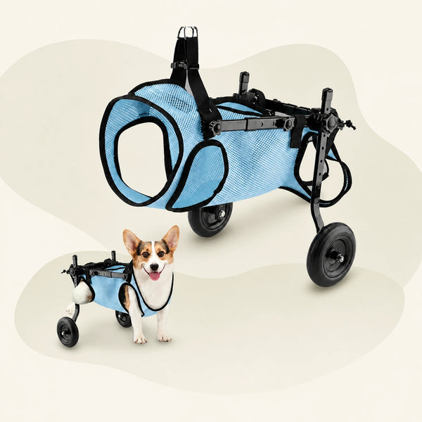 Fauteuil Roulant Pour Chien – Support Arrière Réglable En Aluminium – Pour Handicaps, Vieillesse, Convalescence – Petit Chien/chat
