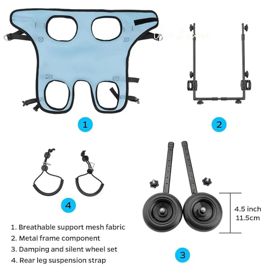 FlexiStride Dog Wheelchair – Mobility for Small to Medium Pets - Viva Essence