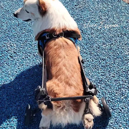 FlexiStride Dog Wheelchair – Mobility for Small to Medium Pets - Viva Essence