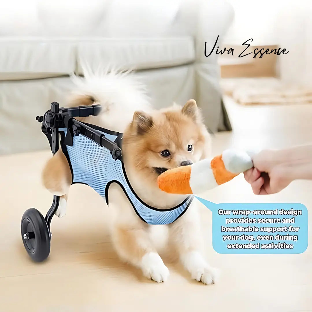 Lightweight rear-support dog wheelchair with breathable mesh support areas - vivaessencepet