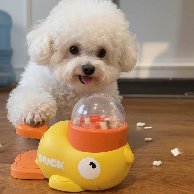 Whale puzzle feeder option for curious cats and dogs using dry treats - vivaessencepet