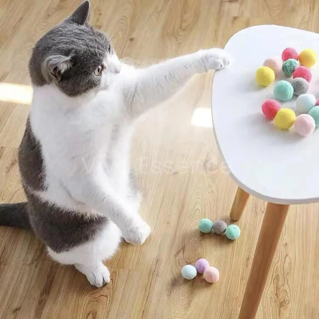 Owner-and-cat play session using a plush ball launcher for chase games - vivaessencepet