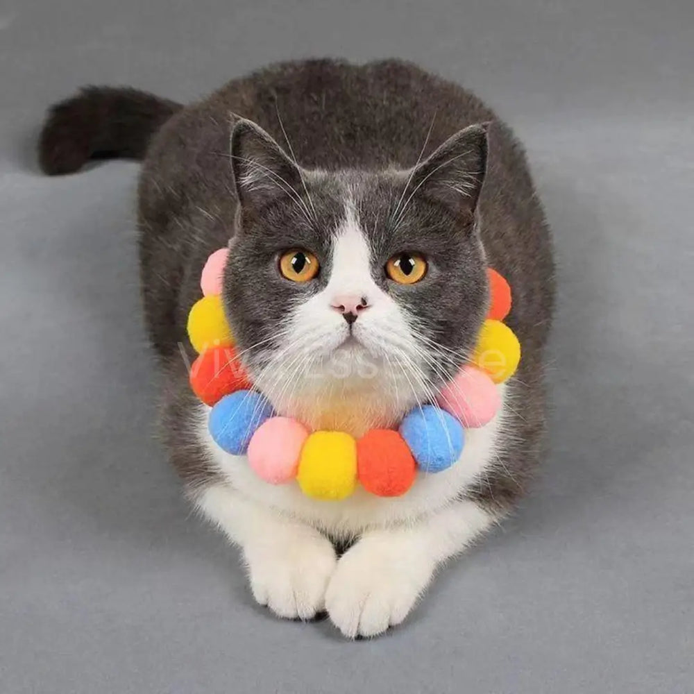 Jouet de poursuite pour chat conçu pour donner des coups de patte, bondir et jouer activement en intérieur - vivaessencepet