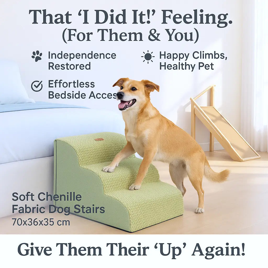 Small tan dog beside green three-step dog stairs in a bedroom