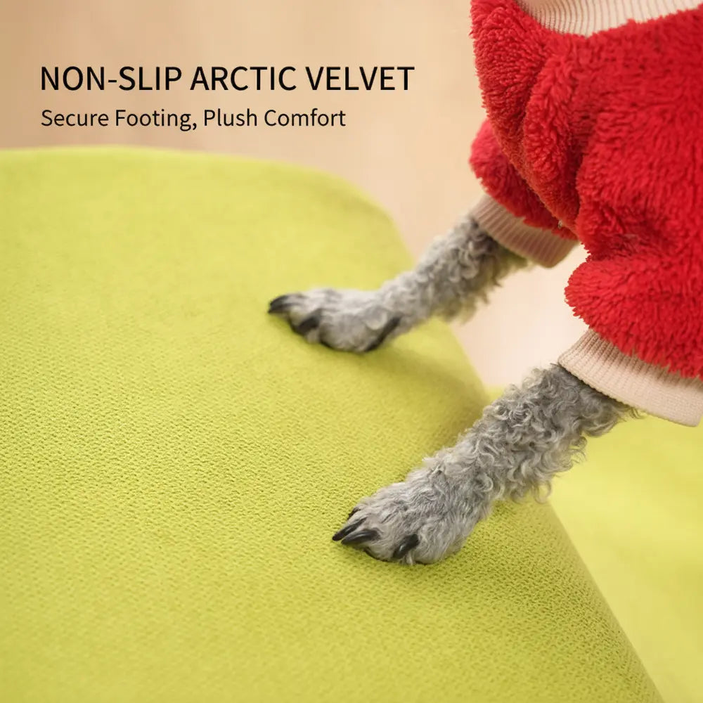 Gentle Slope Pet Ramp for Beds & Sofas - -Viva Essence Pet