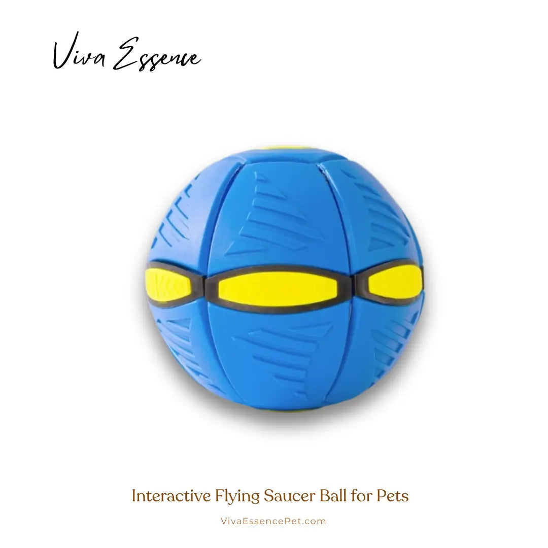 UFO saucer ball toy sized for supervised dog fetch and toy rotation - vivaessencepet