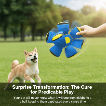 Interactive Flying UFO Saucer Ball: Transforming Pet Frisbee - -Viva Essence Pet