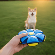 Hand pressing the interactive UFO saucer ball flat, transforming it into a frisbee for outdoor fetch - vivaessencepet