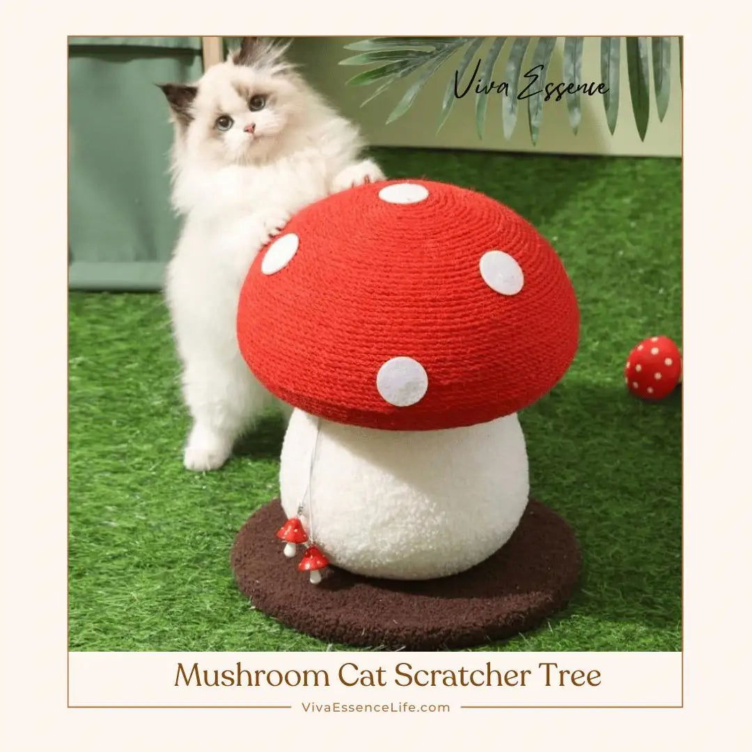 Gato juguetón rascando el tallo de cuerda de sisal natural en este árbol decorativo para gatos con forma de seta - vivaessencepet