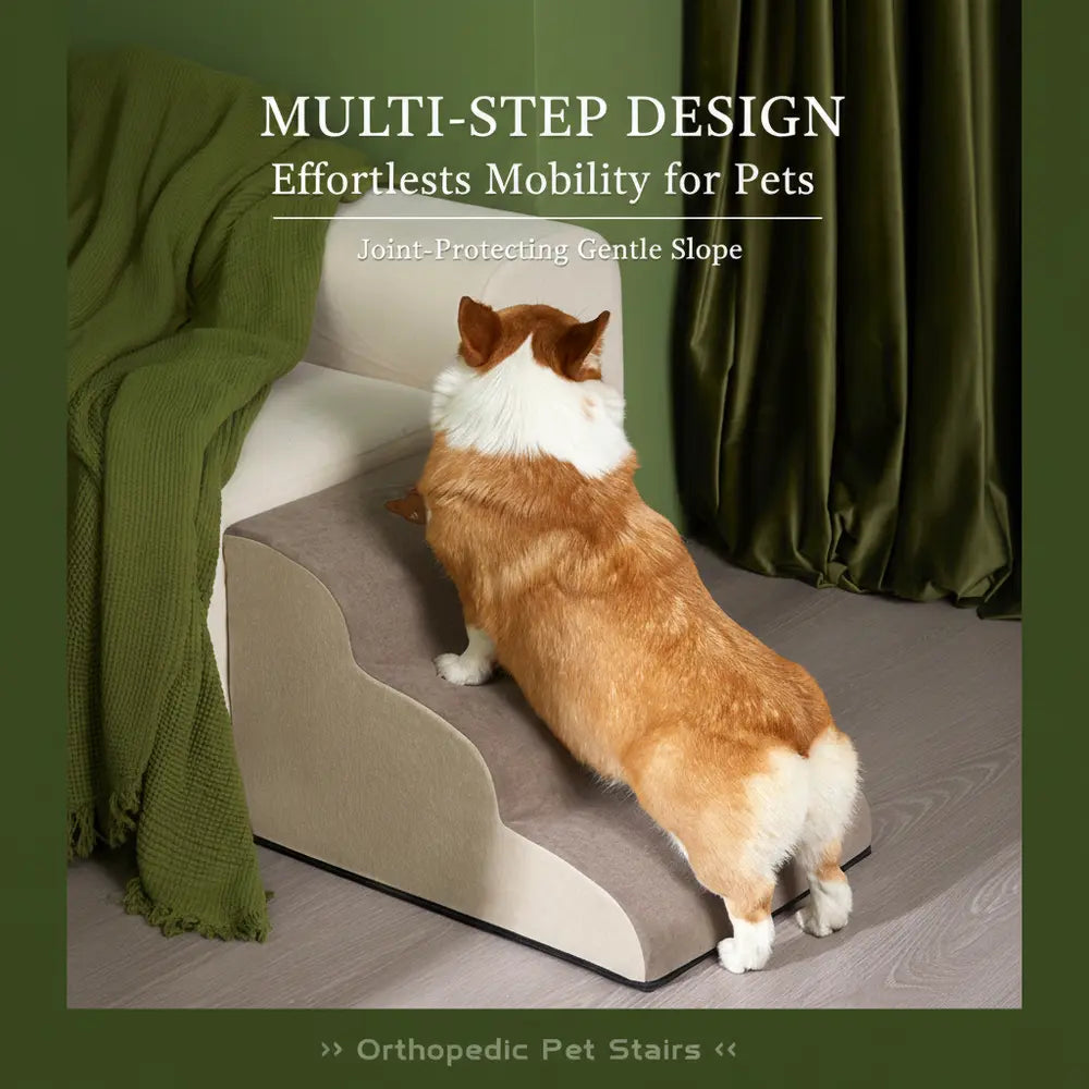 Corgi climbing beige pet stairs in front of a sofa
