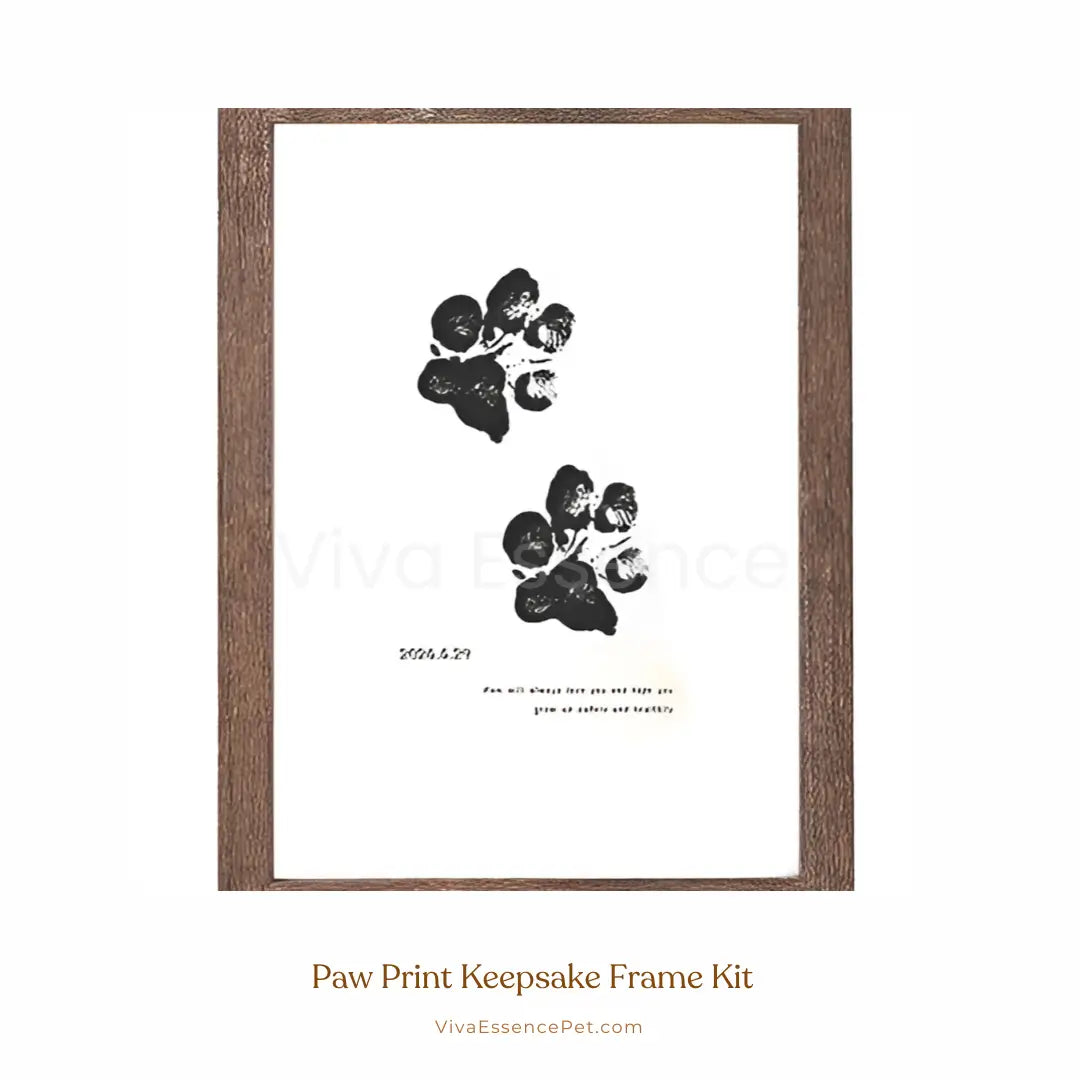 Viva Paw Keepsake Frame Kit - Walnut Frame Viva Essence