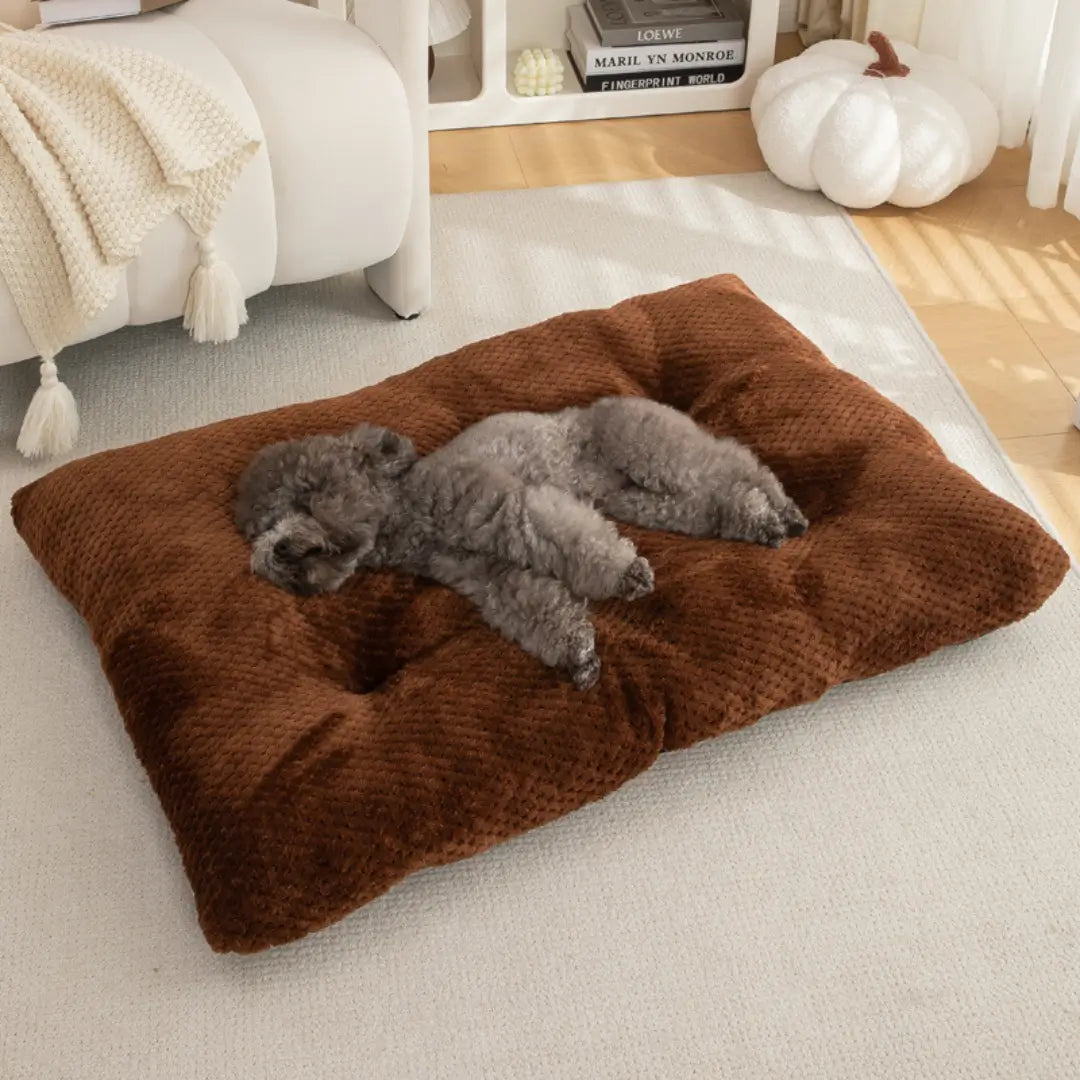 Calming Plush Haven Luxe Pet Bed - Coffee -Viva Essence Pet