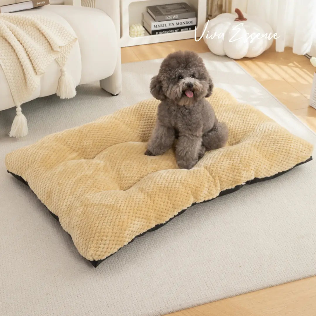 Plush Haven Luxe Comfort Pet Bed - Beige Viva Essence