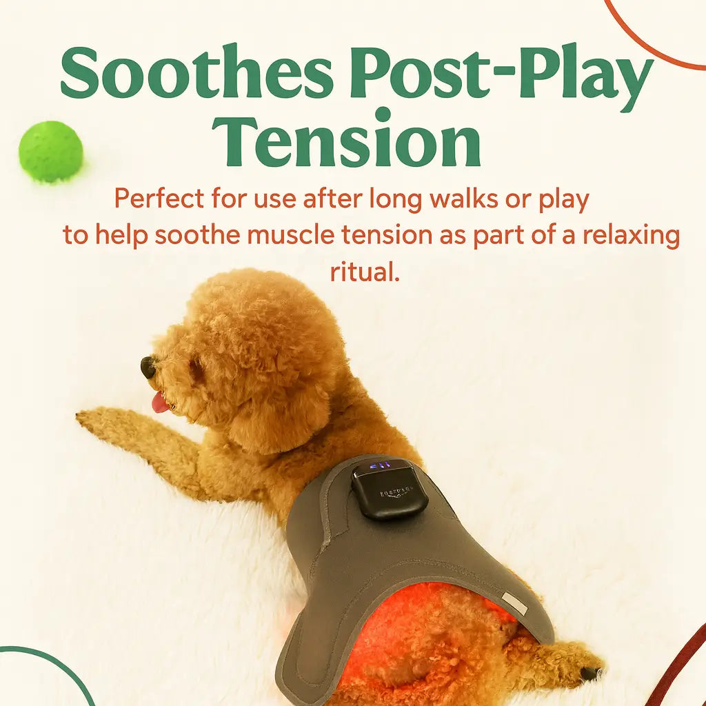 Soothing Red Light Pet Wrap for Joint Support - -Viva Essence Pet