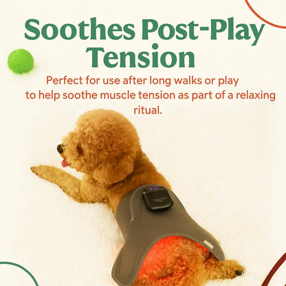Soothing Red Light Pet Wrap for Joint Support - -Viva Essence Pet
