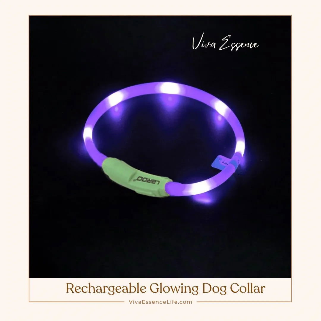 AuraGlow LED dog collar in bright colors for ultimate nighttime visibility and safety - vivaessencepet